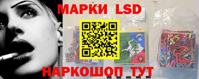 спиды Кингисепп
