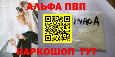 спиды Кингисепп