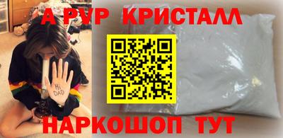 спиды Кингисепп