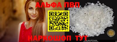 спиды Кингисепп