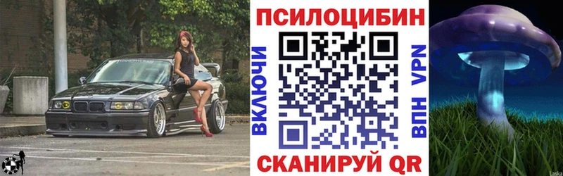 Галлюциногенные грибы MAGIC MUSHROOMS купить закладку кракен онион Биробиджан