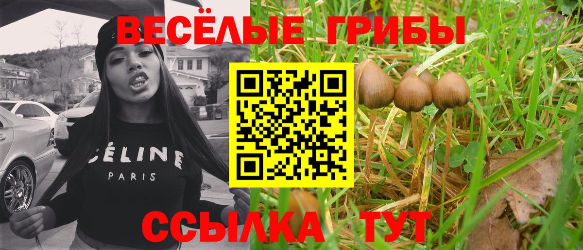 Галлюциногенные грибы мицелий  Вход с VPN  Биробиджан 
